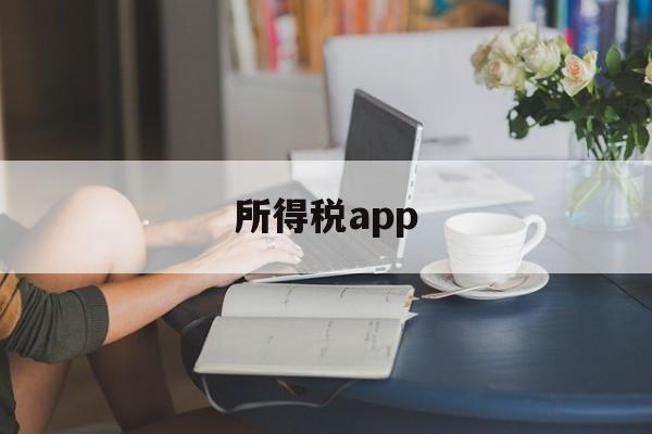 所得税app(怎么登录个人所得税app)